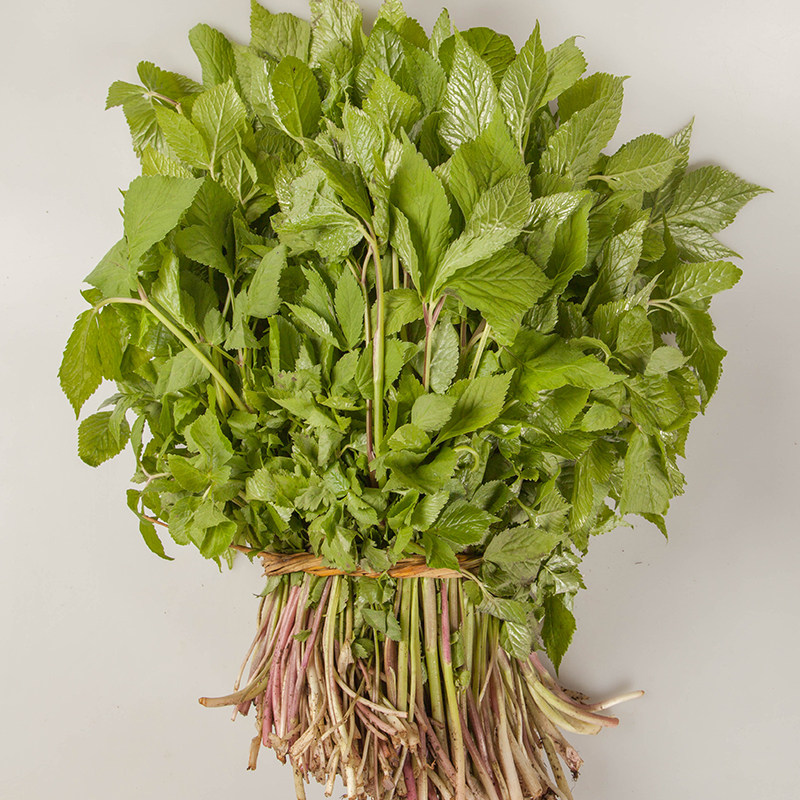 味道新鲜大叶2斤东北辽宁山野菜山芹菜叶菜类