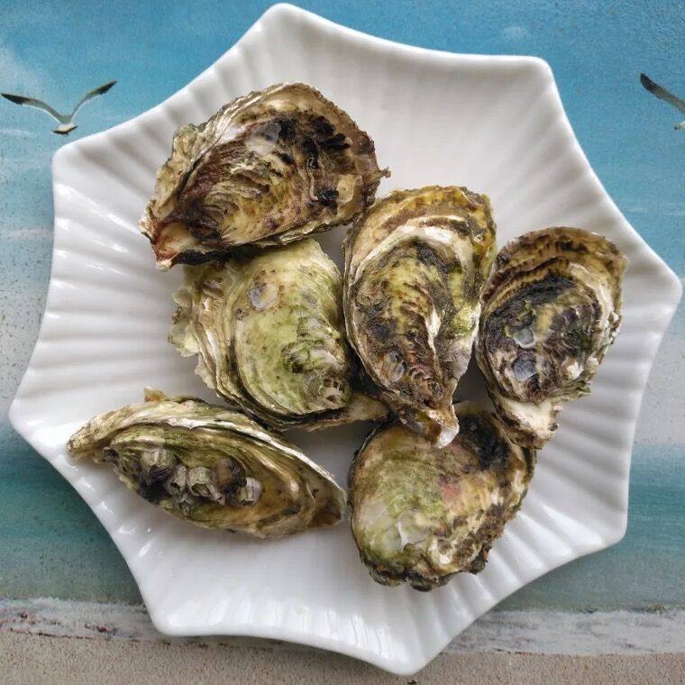 烧烤档生蚝带壳蚝活水产生牡蛎半壳全壳烧烤海生蚝