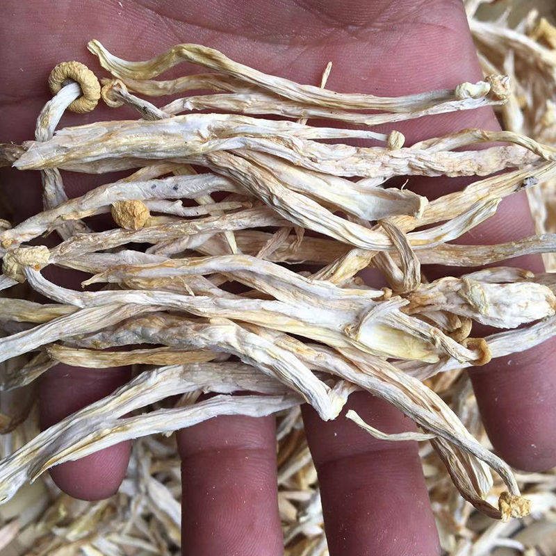 土特产2022年古田特产海鲜干货福建蟹味食用菌农家香菇类