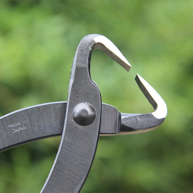 清鹤盆景工具球节剪破杆钳叉枝拉丝钳断丝钳剪刀