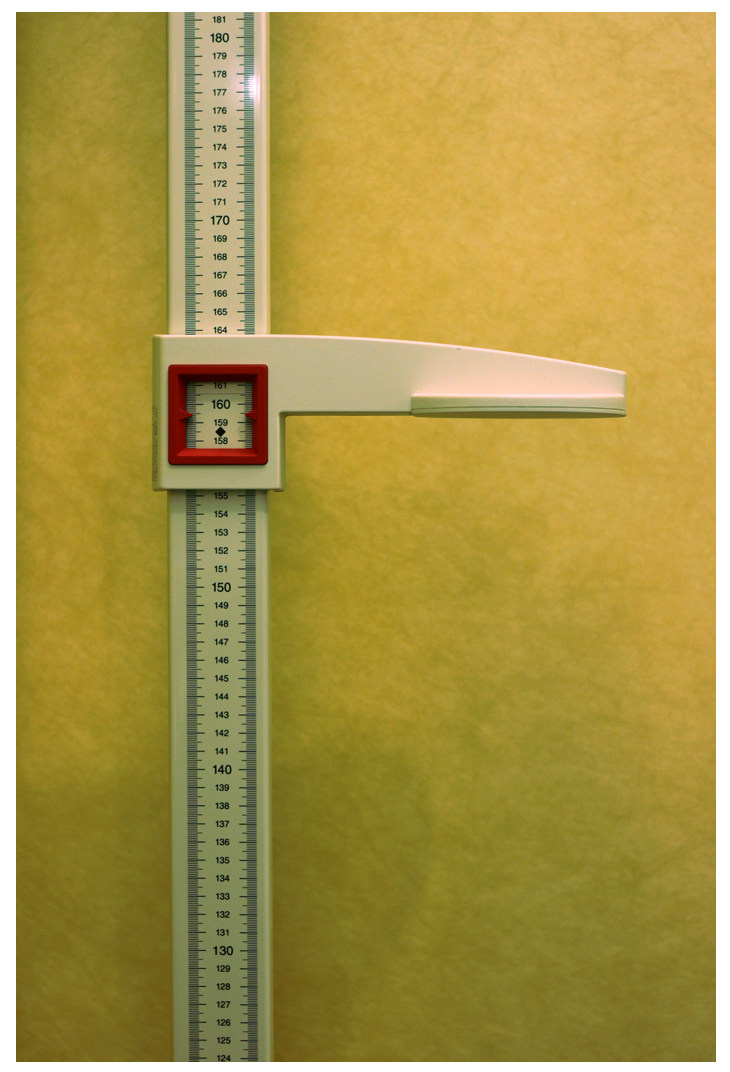 德国赛康seca213便携式量高尺身高测量尺身高尺测量标尺刻度尺