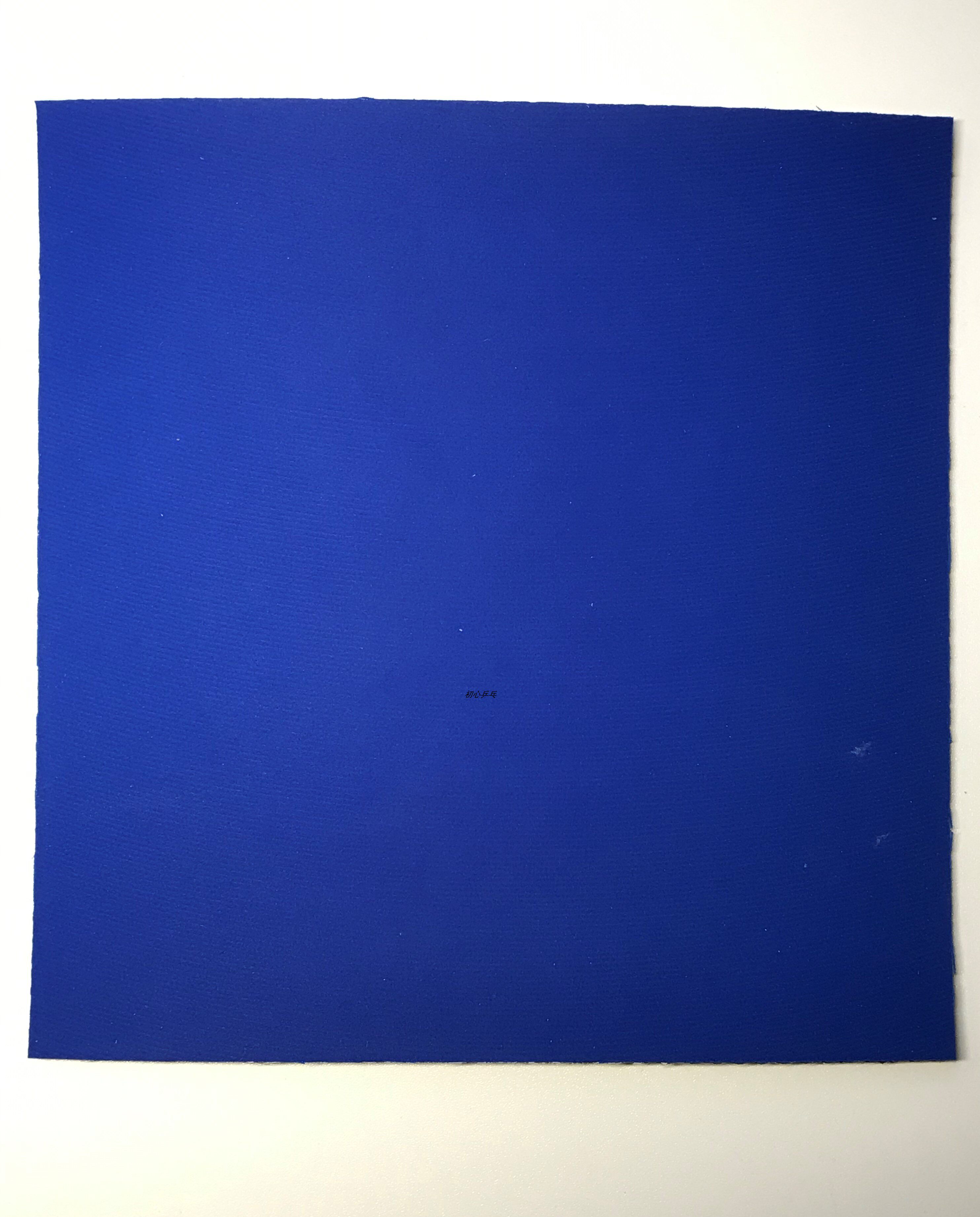 国狂海绵荣耀乒乓dhs红双喜内部版蓝乒乓球胶皮乒乓套胶