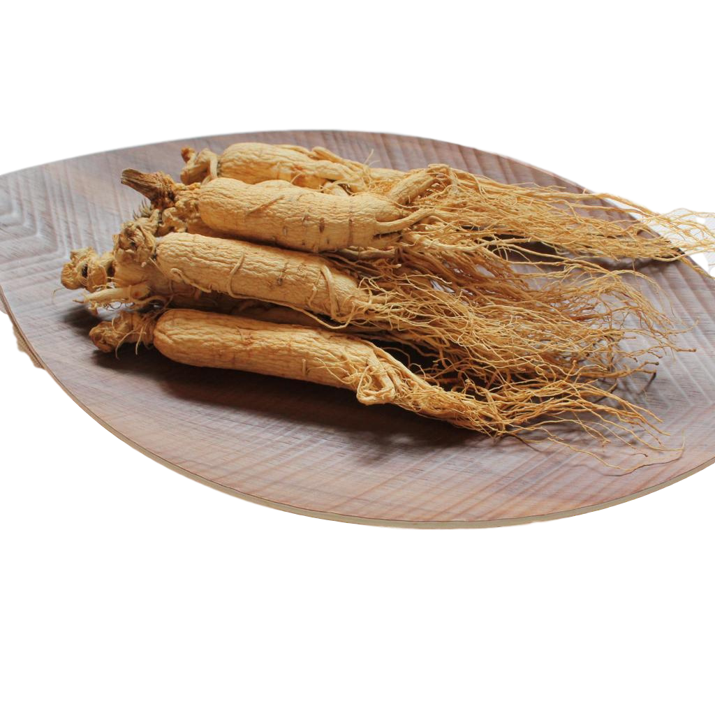 特大7年参泡参白参园野山鲜原整枝长白山500g1人参