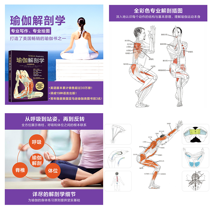 瑜伽解剖学 全彩图解第2版 瑜伽教练推荐的标准瑜伽书籍 减肥塑身养颜 从瑜伽初级入门姿势到高阶的瑜伽冥想 - 图0