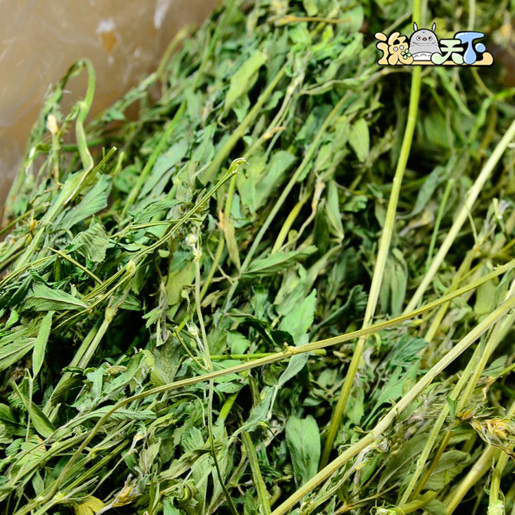 包邮18年 兔子龙猫牧草紫花苜蓿草烘干级嫩草 连箱一公斤