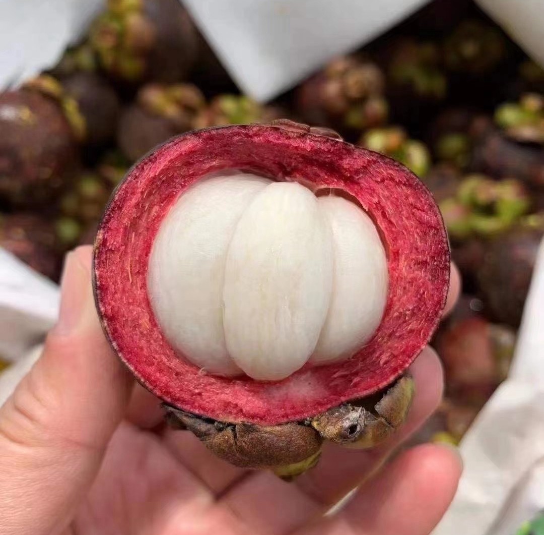 泰国空运沙竹5a6a散装4斤新鲜进口大山山竹桔子