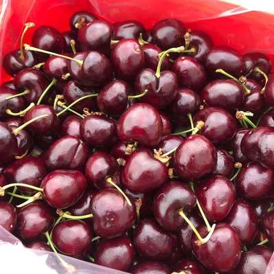 智利进口三藩拉宾斯红车厘子原箱5斤3jp小红盒lapins甜脆大樱桃