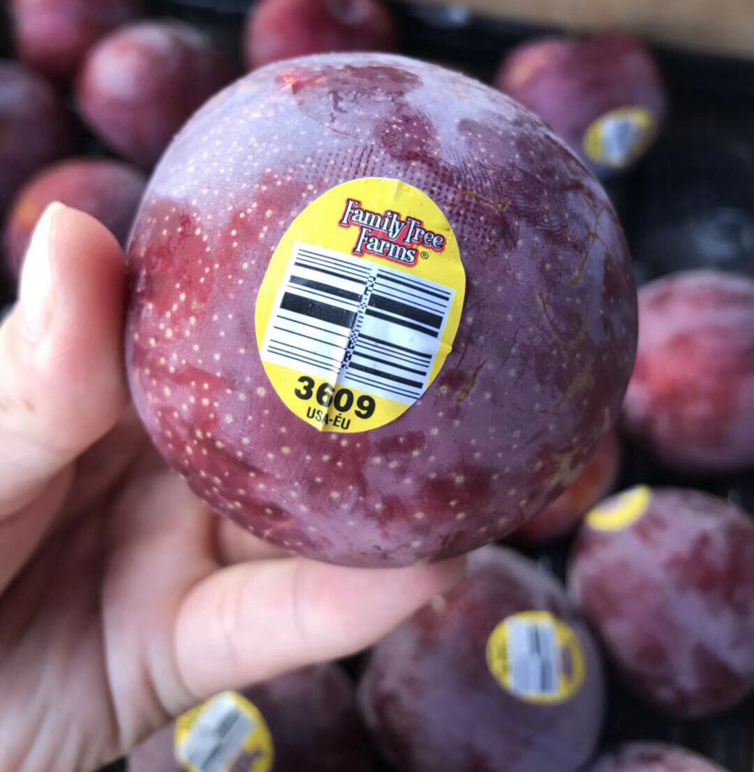 进口美国血丝李血丝情人8斤2432个原箱布林红布李子