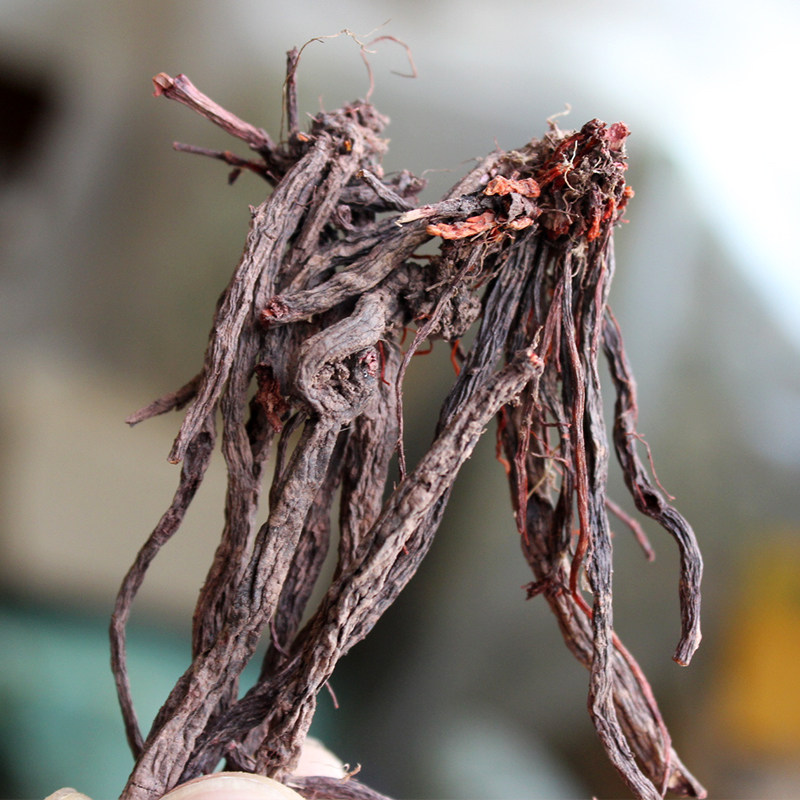 小红云南参滇紫参产自哀牢山天然晒干中药材100克其他药食同源食品