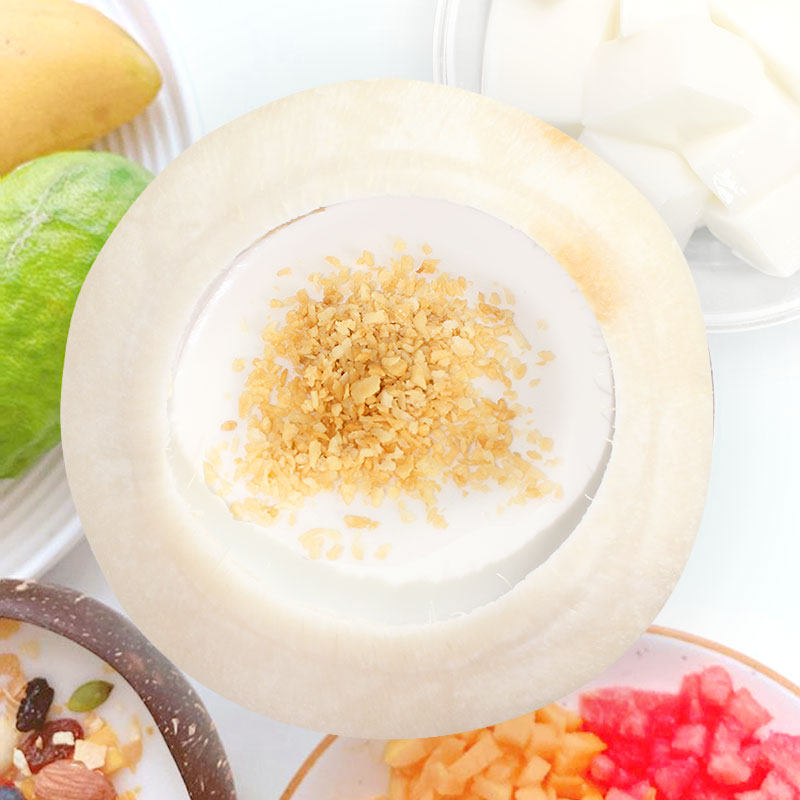 椰奶奶冻椰子冻粉家用正宗海南生网红商用奶茶果冻