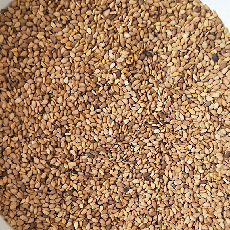 芝麻河北特产盐纯手工无添加新鲜咸味麻干盐熟其它粮食