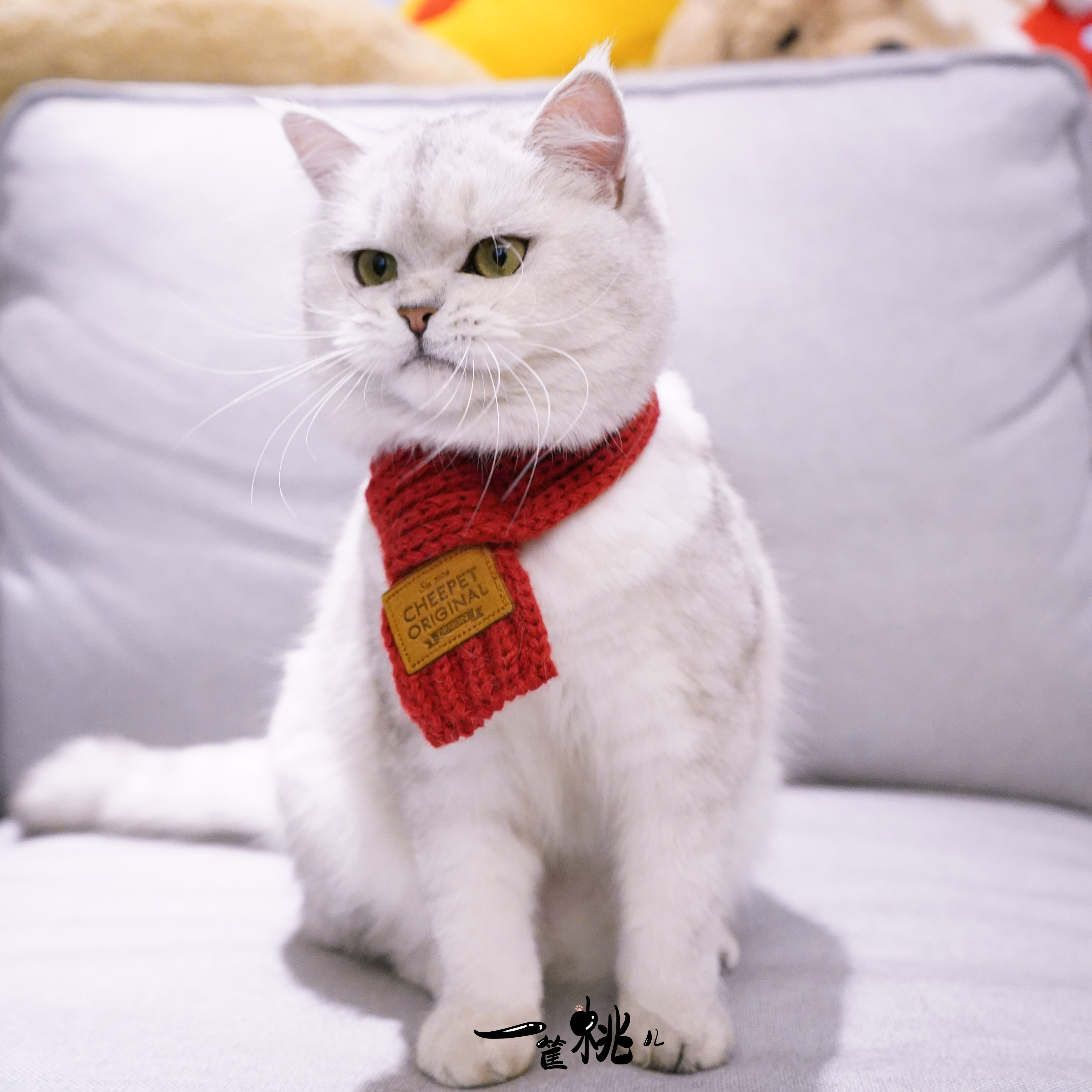 猫咪节日日新年春节围巾保暖针织毛线围脖宠物围巾