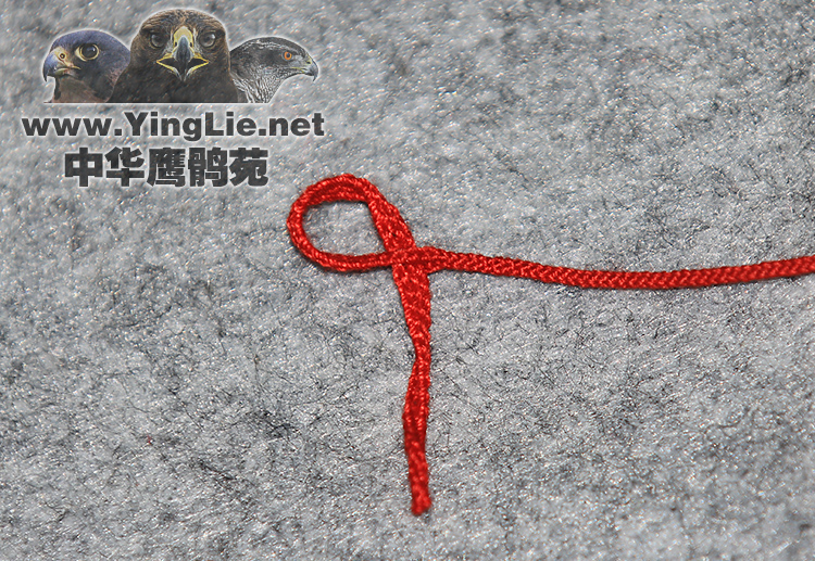 鹰具 线脚绊子 两开手编两开脚绊 线绊子 鹰脚绳套中华鹰鹘苑商城