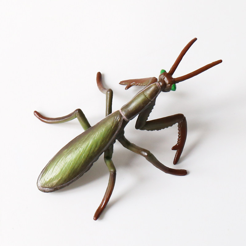 仿真昆虫模型儿童玩具动物蛱蝶蜜蜂独角仙螳螂蚱蜢仿真