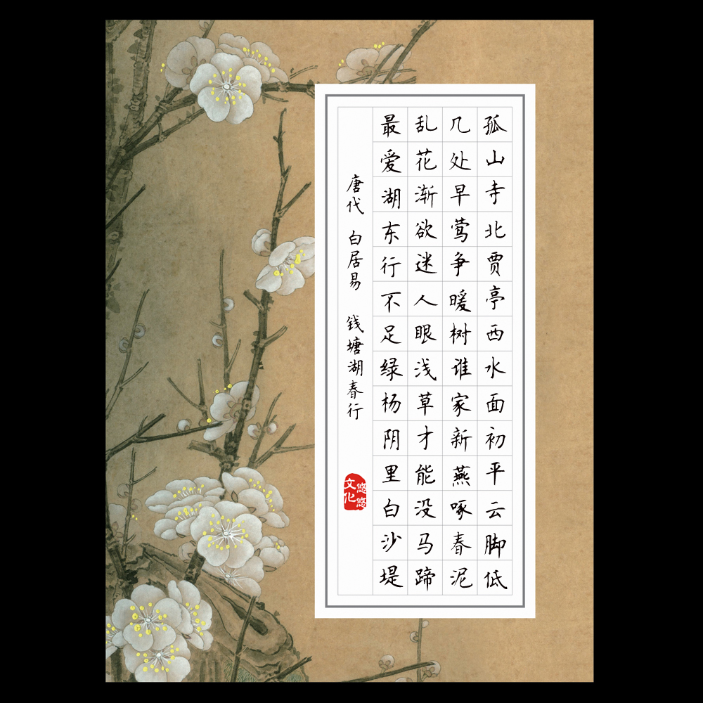 悠悠a4硬笔书法用纸钢笔书法练习方格创作比赛书法用纸