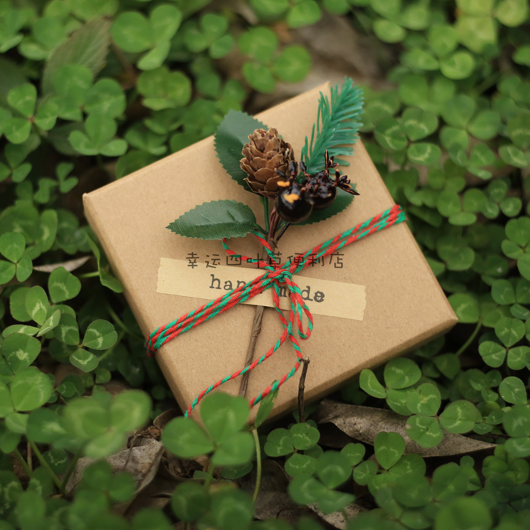 幸运四叶草便利店植物标本吊坠项链纯银首饰好运项链