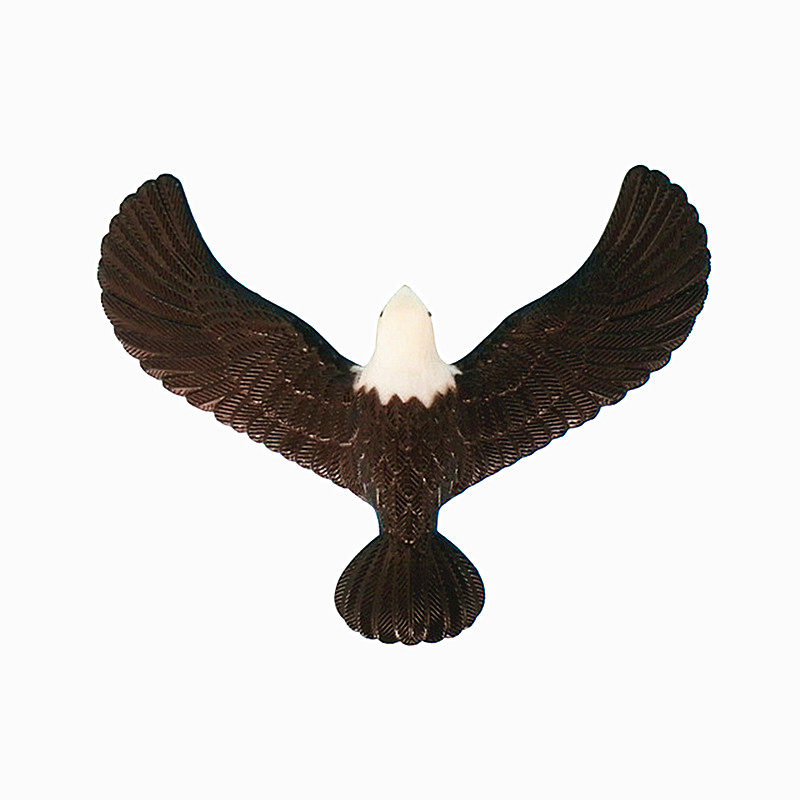 平衡大号不倒翁老鹰玩具复古经典怀旧重力力鸟创意