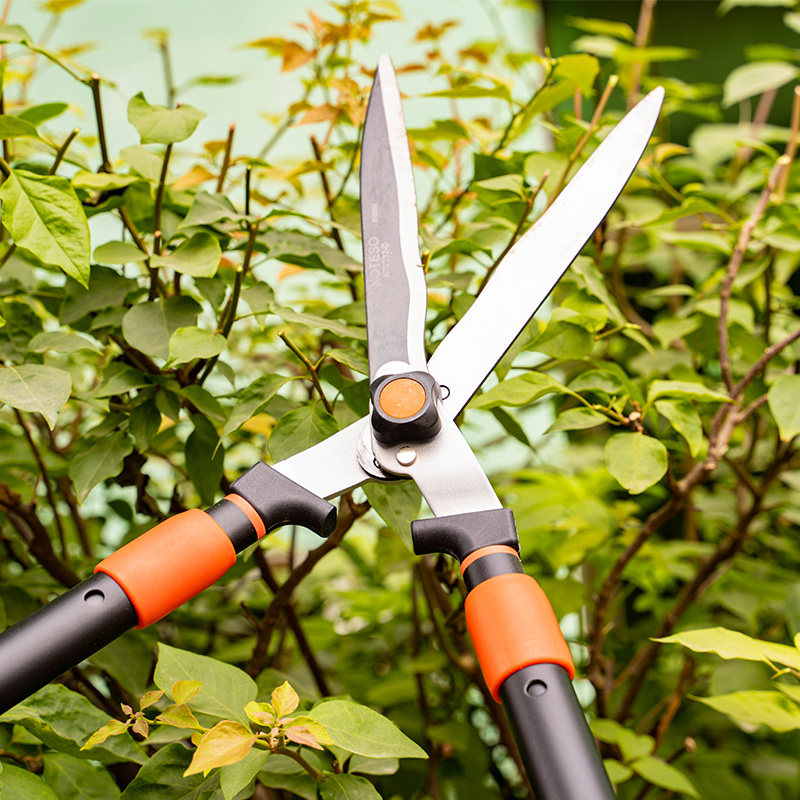 开拓者老人头园艺大剪刀园林修枝花木剪草草坪绿篱剪刀