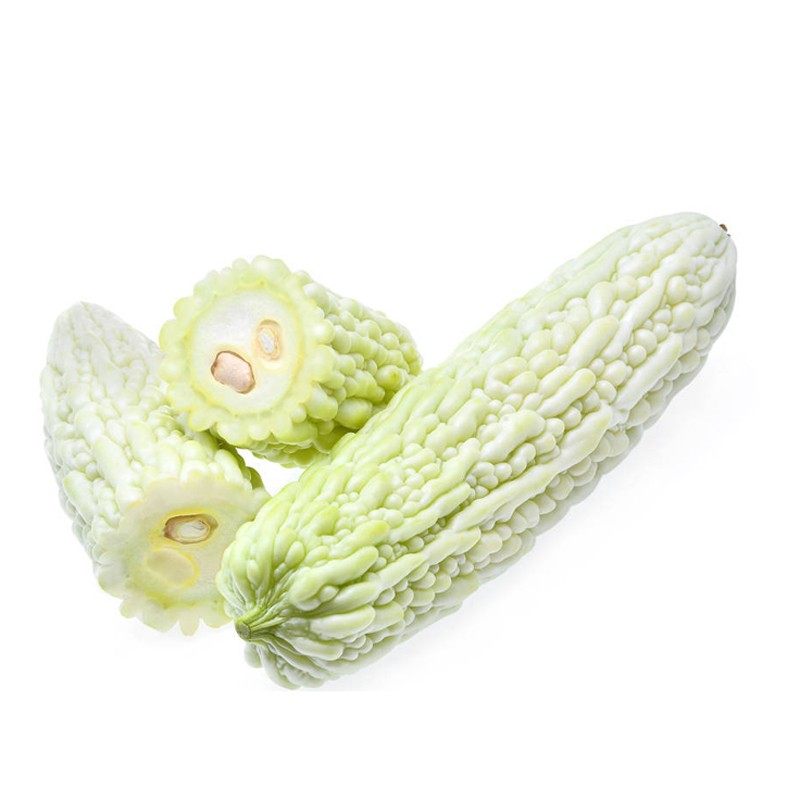 苦瓜长白种子庭院阳台种植四季白皮肉质鲜嫩家庭园艺种子