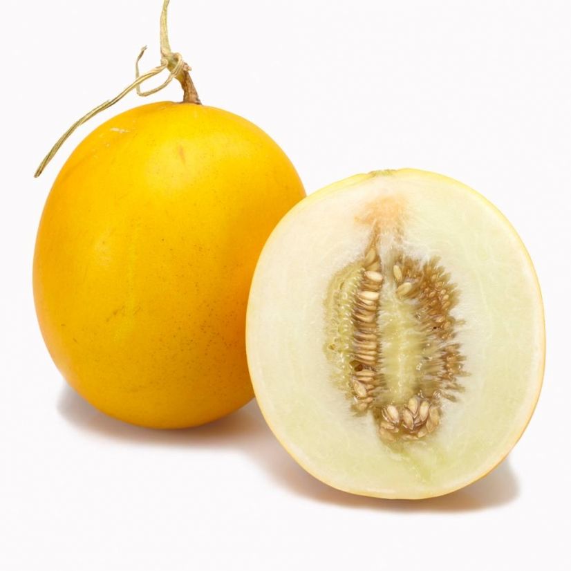 高产甜瓜种子伊丽莎白香瓜兰州兰瓜脆甜多汁家庭家庭园艺种子