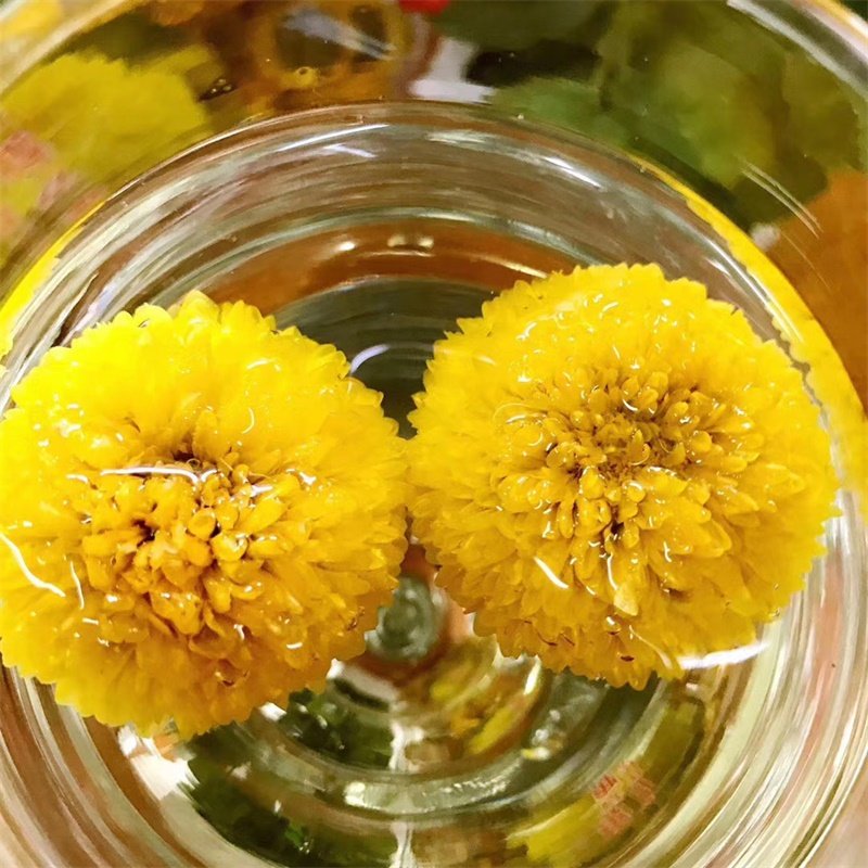 皇菊绣球婺源晓起菊花花茶散装大朵金蕊大黄代用