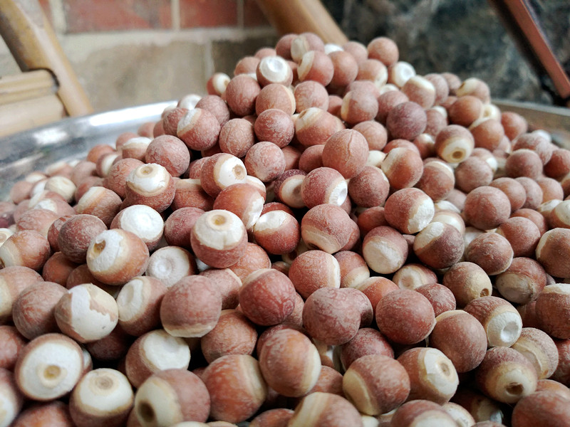 新鲜芡实干货 农家自产 野生红皮芡实仁新货芡实米鸡头米茨实500g