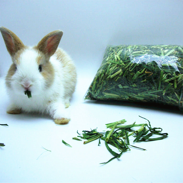 烘干大麦草段兔子龙猫荷兰猪饲料牧草用品兔主粮200克买三送一