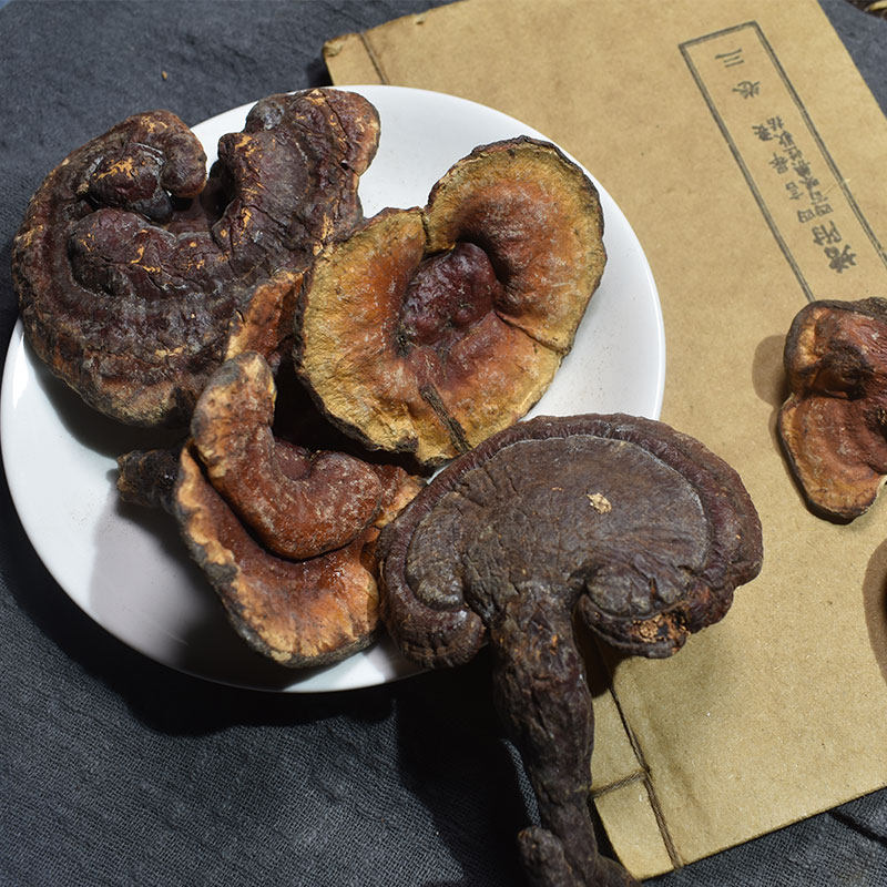灵芝中药材250g正品干货500g非特特级野生林芝其他药食同源食品