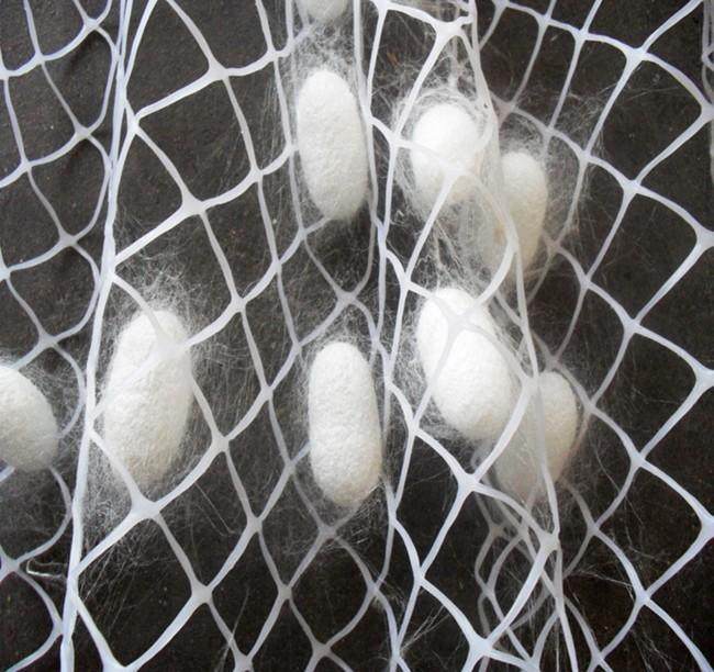 蚕宝宝专用吐丝结茧上山网簇养蚕蚕网工具包蚕宝宝