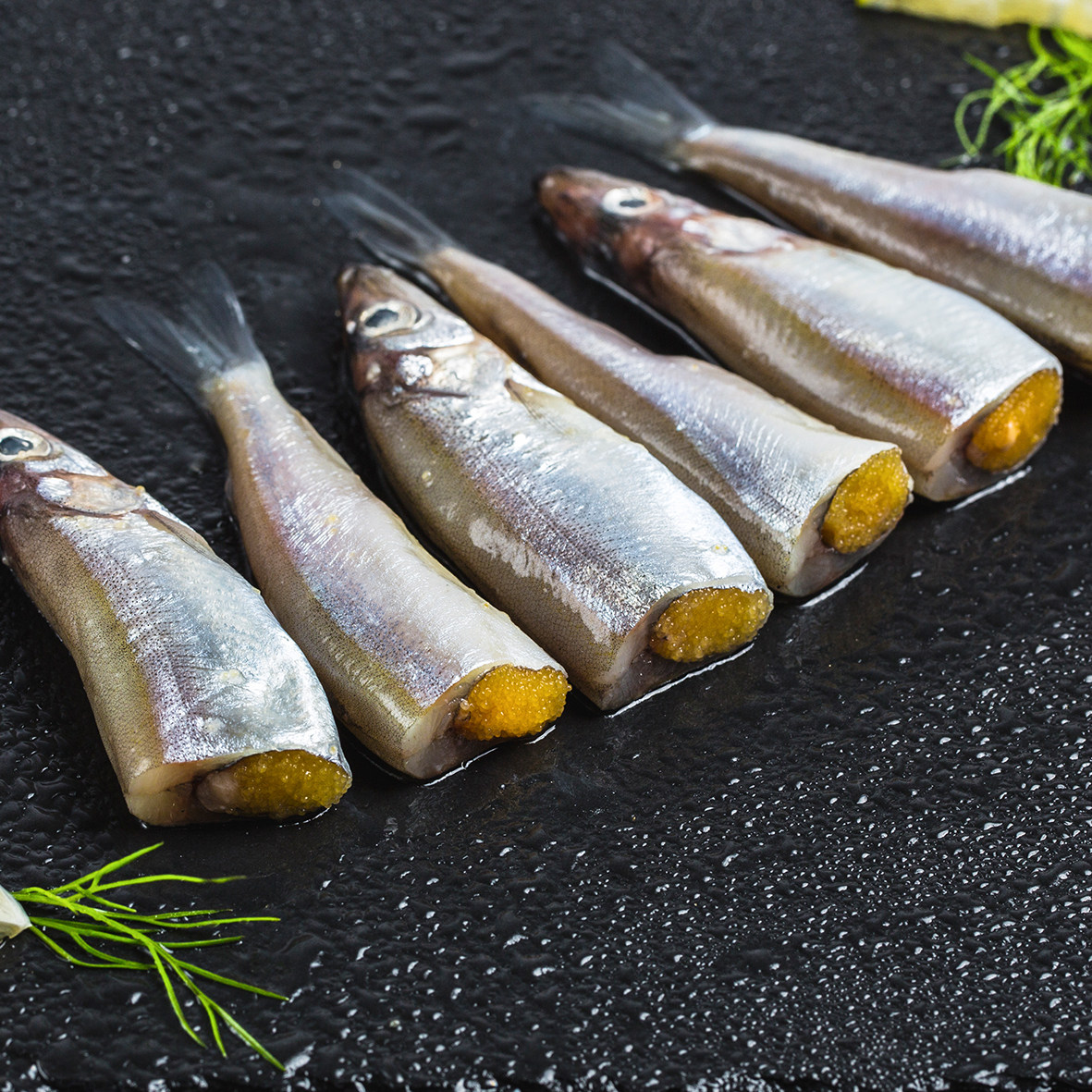 豪鲜品 加拿大进口满籽多春鱼烧烤食材满籽胡瓜鱼冰鲜大号 1板8条