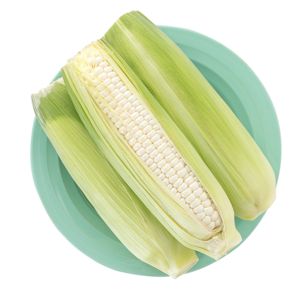 水果坏果包赔福建微玉爆浆冰糖玉米6根新鲜其它