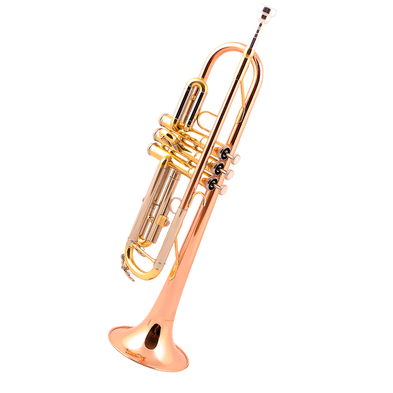 小号 乐器 降b调三音小号 初学演奏考级专业乐队教学教会西洋乐器