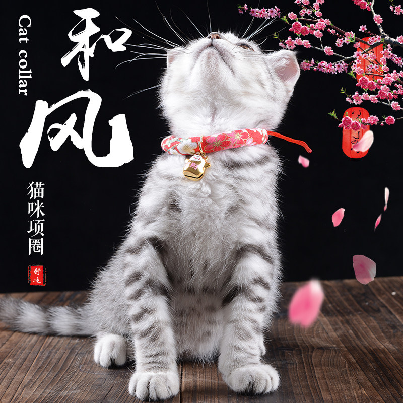 猫咪项圈猫圈猫项圈铃铛除跳蚤去虱子狗狗小型犬颈圈脖圈宠物用品