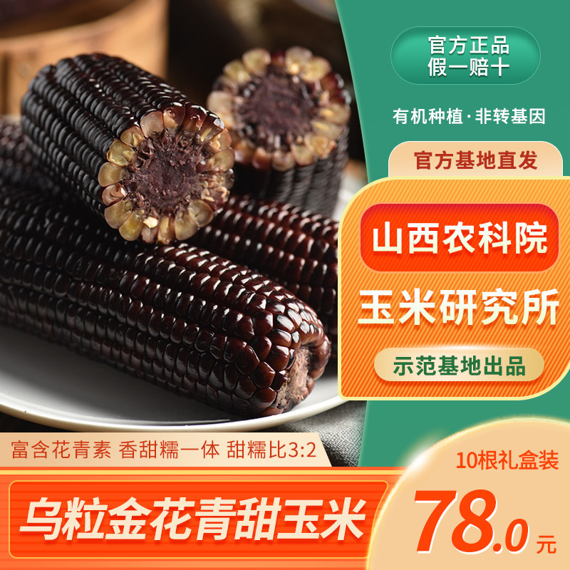 玉米乌粒金花山西农科院研究所清甜甜糯新鲜转基因玉米