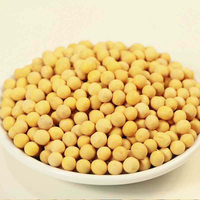 东北自种500克专用豆浆生豆大豆黑龙江农家北非黄豆