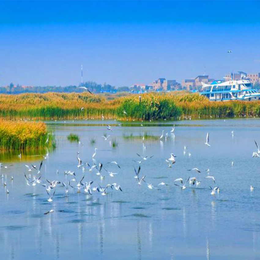 宁夏银川沙湖生态旅游区一日游畅玩金沙碧水乘坐沙湖大船风景 - 宁夏