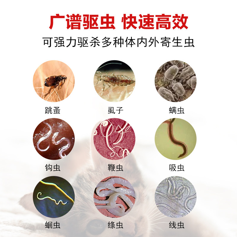 king魔方美尼洛宠物猫咪体内驱虫药狗狗泰迪去蛔线虫专用打虫药