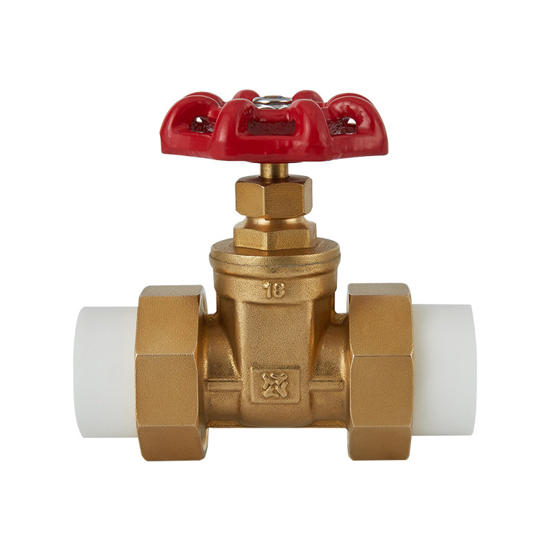 瑞格ppr双活接闸阀开关dn15 2025水管道铜球阀管材自水来热熔配件