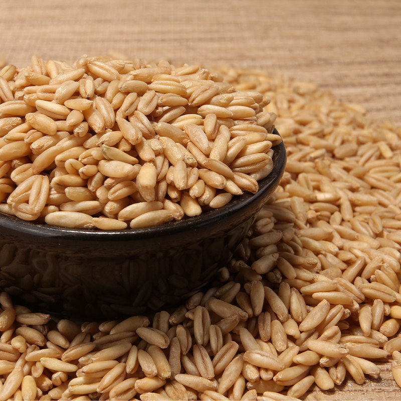 燕麦新货麦米野麦雀麦胚芽莜麦麦粒五谷杂粮400克其它粮食