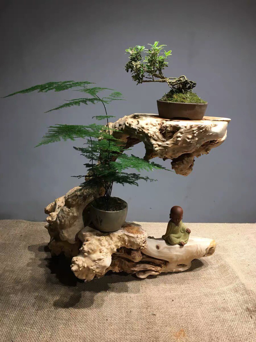 崖柏干泡台茶风化枯木树根根雕菖蒲盆景底座根雕