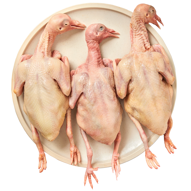 若野鸽子肉新鲜活体现杀3只包邮乳鸽生鲜老鸽子土鸽子农家散养