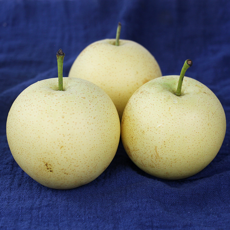 河北沧州有机皇冠特级大果5斤脆甜多汁肉嫩梨