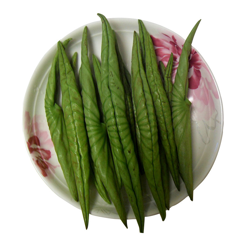 荷叶新鲜嫩莲藕微山湖蔬菜野生尖尖天然现摘尖头叶菜类