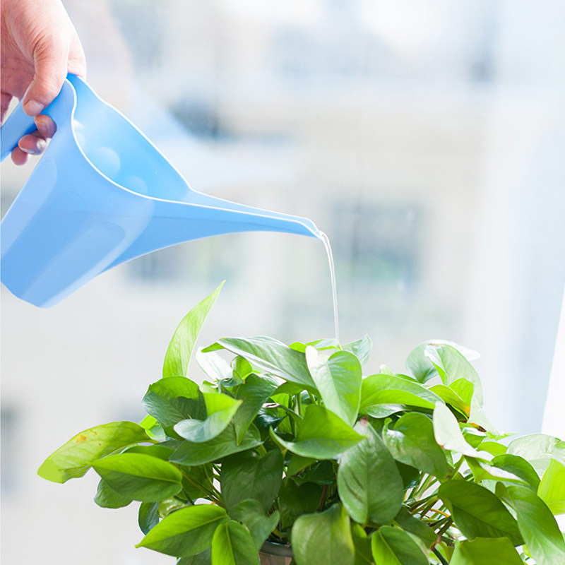 浇花水壶浇水长嘴花洒家用园艺小工工具多肉洒水