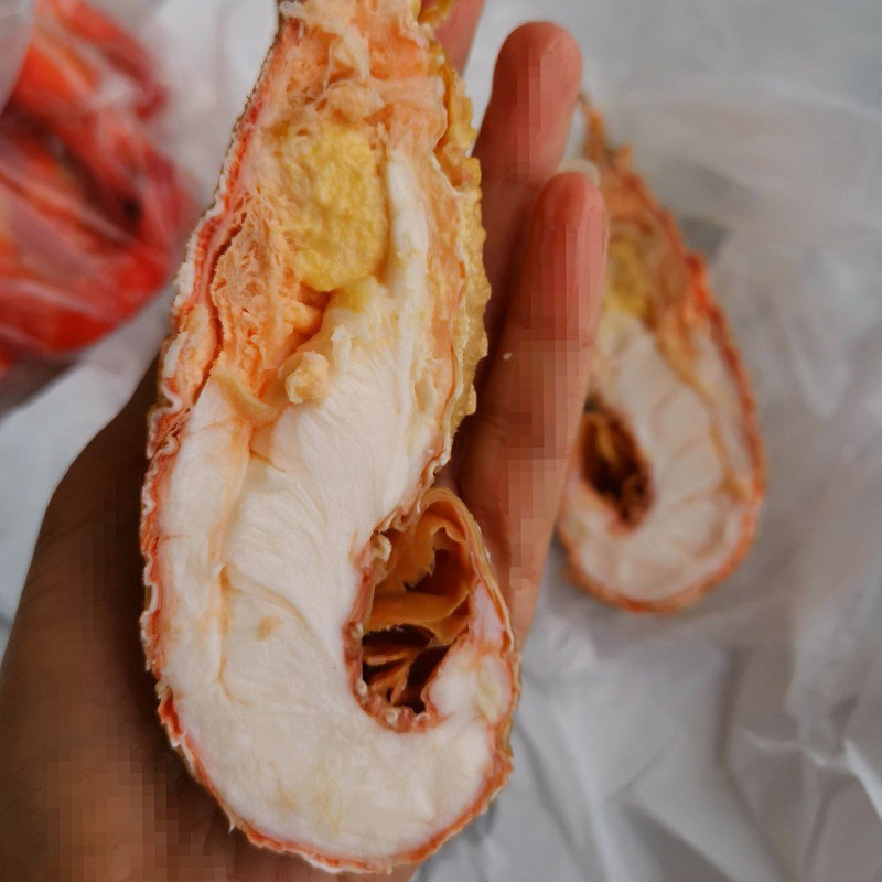 野生琵琶虾 新鲜九齿扇虾 虾姑排毛缘扇虾东方大虾扁虾排鲜活水产_双