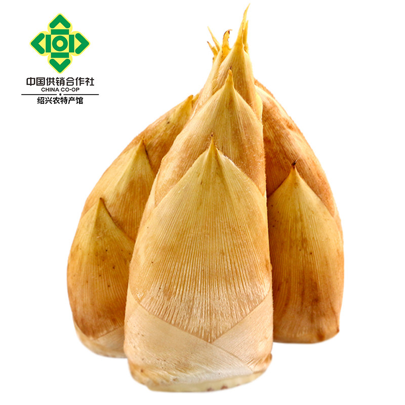 新鲜5斤现挖野生农家大春笋毛笋