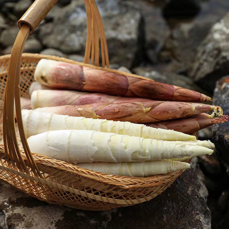 浙江临安春笋新鲜现挖天目山雷笋5斤装嫩竹笋竹笋