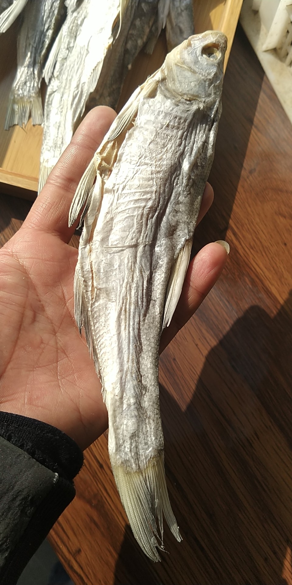 寿县土特产咸鱼翘嘴鱼白条鱼干鱼小河鱼巴浪鱼腰皮鱼刀鱼刁鱼