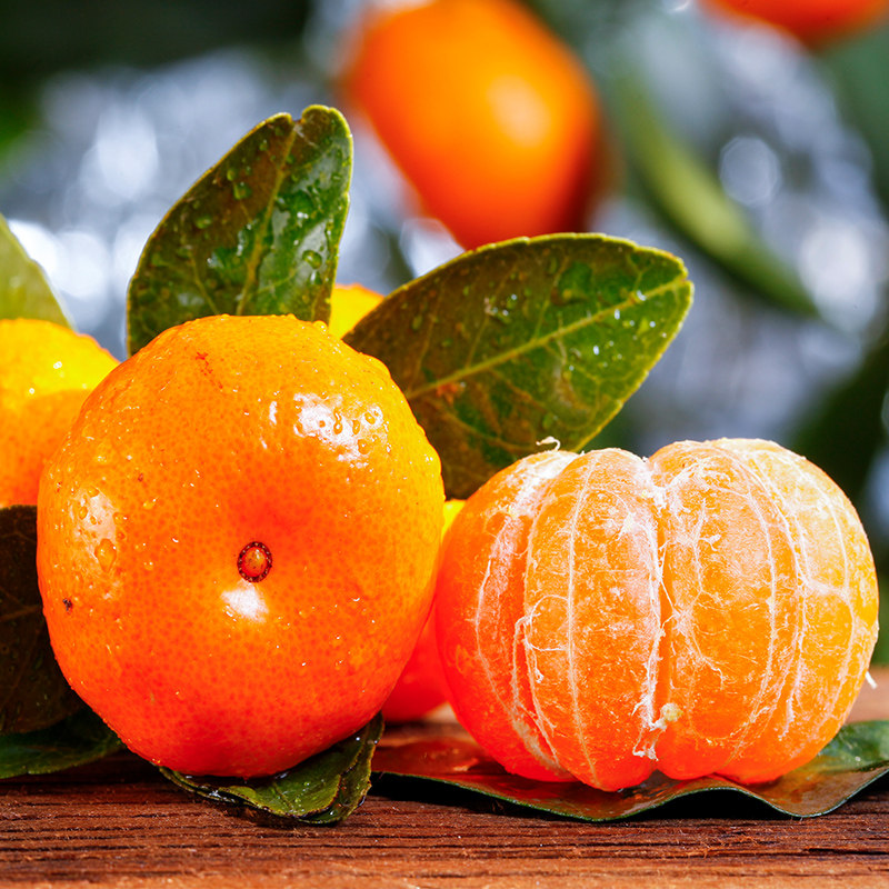 正宗广西砂糖新鲜沙糖9斤水果小橘子甜桔子当季桔子