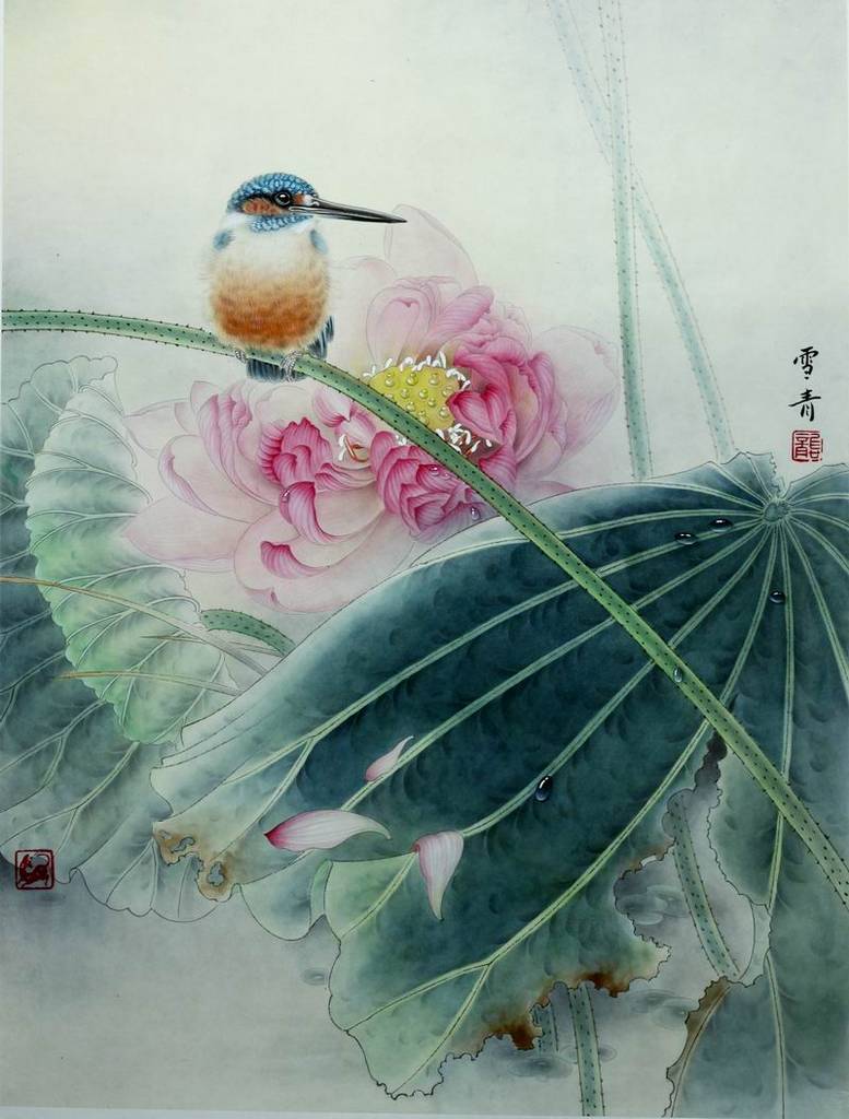 工笔宣纸上色直接笔勾国画毛笔勾打印稿白描翠鸟国画